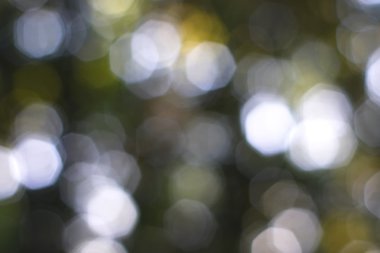 Yeşil arkaplanda soyut parlayan ışık