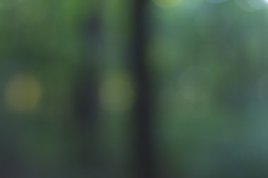 Yeşil arkaplanda soyut parlayan ışık