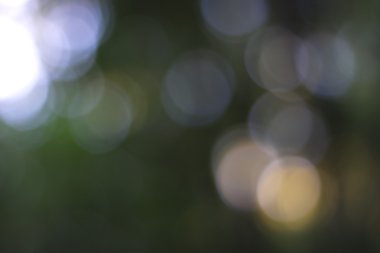 Yeşil arkaplanda soyut parlayan ışık