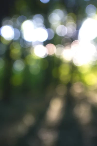 Abstraktes gleißendes Licht auf grünem Hintergrund — Stockfoto