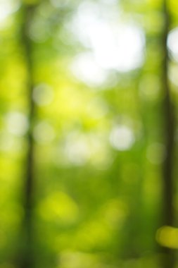 soyut dairesel yeşil bokeh arkaplanı.