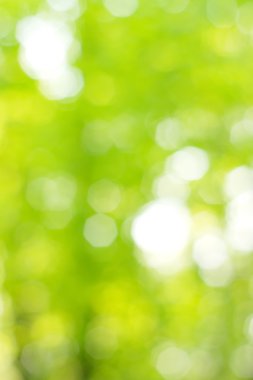 soyut dairesel yeşil bokeh arkaplanı.