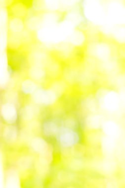 soyut dairesel yeşil bokeh arkaplanı.