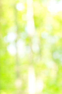 soyut dairesel yeşil bokeh arkaplanı.