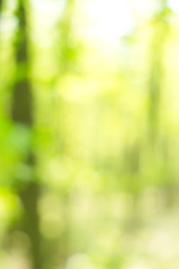 soyut dairesel yeşil bokeh arkaplanı.