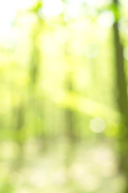 soyut dairesel yeşil bokeh arkaplanı.