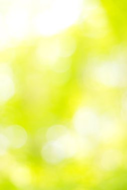 soyut dairesel yeşil bokeh arkaplanı.