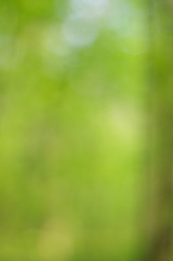 soyut dairesel yeşil bokeh arkaplanı.