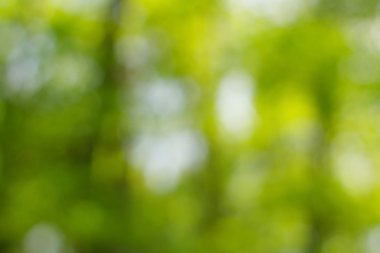 soyut dairesel yeşil bokeh arkaplanı.