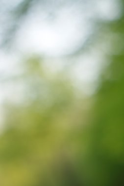 soyut dairesel yeşil bokeh arkaplanı.