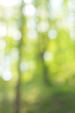 soyut dairesel yeşil bokeh arkaplanı.