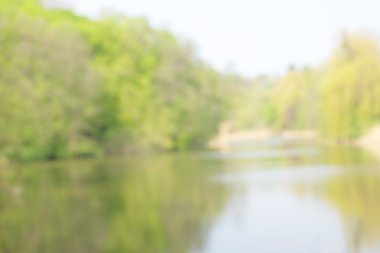 soyut dairesel yeşil bokeh arkaplanı.