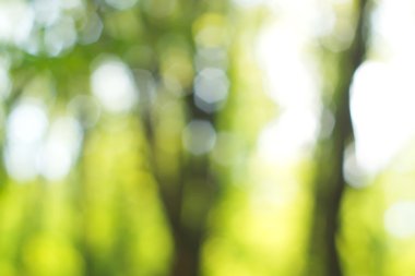 soyut dairesel yeşil bokeh arkaplanı.