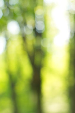 soyut dairesel yeşil bokeh arkaplanı.