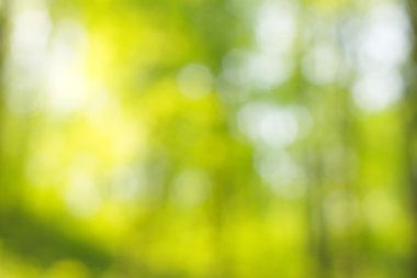 soyut dairesel yeşil bokeh arkaplanı.