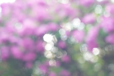 soyut dairesel yeşil bokeh arkaplanı.