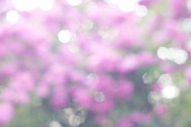 soyut dairesel yeşil bokeh arkaplanı.