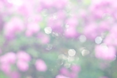 soyut dairesel yeşil bokeh arkaplanı.