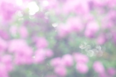 soyut dairesel yeşil bokeh arkaplanı.