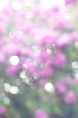 soyut dairesel yeşil bokeh arkaplanı.