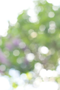 soyut dairesel yeşil bokeh arkaplanı.