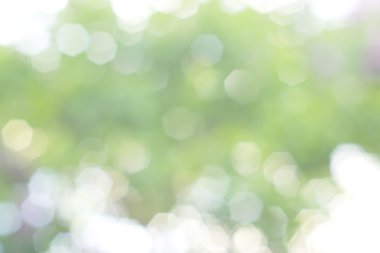 soyut dairesel yeşil bokeh arkaplanı.