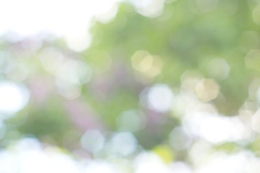 soyut dairesel yeşil bokeh arkaplanı.