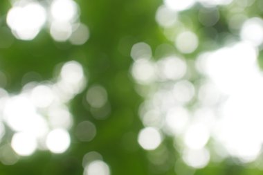 soyut dairesel yeşil bokeh arkaplanı.