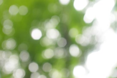 soyut dairesel yeşil bokeh arkaplanı.