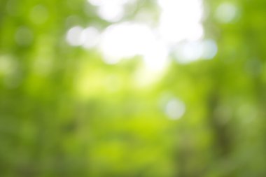 soyut dairesel yeşil bokeh arkaplanı.