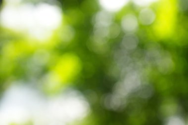 soyut dairesel yeşil bokeh arkaplanı.