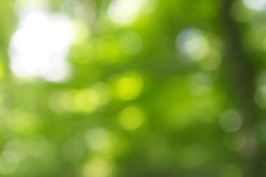 soyut dairesel yeşil bokeh arkaplanı.