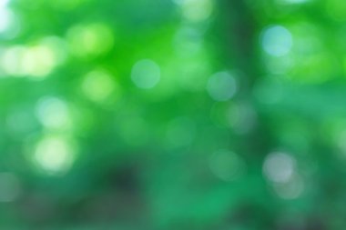 soyut dairesel yeşil bokeh arkaplanı.