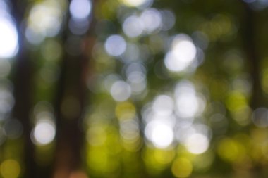 soyut dairesel yeşil bokeh arkaplanı.