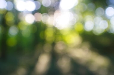 soyut dairesel yeşil bokeh arkaplanı.