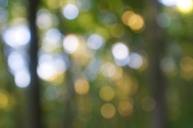 soyut dairesel yeşil bokeh arkaplanı.