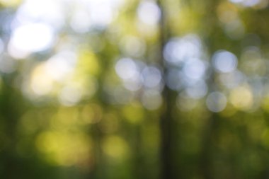 soyut dairesel yeşil bokeh arkaplanı.