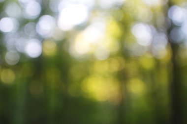 soyut dairesel yeşil bokeh arkaplanı.