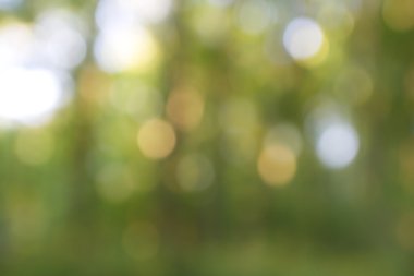 soyut dairesel yeşil bokeh arkaplanı.