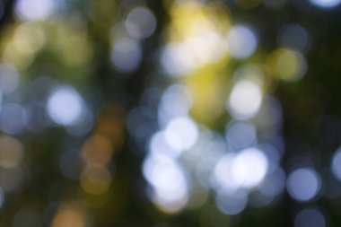 soyut dairesel yeşil bokeh arkaplanı.