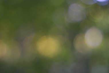 soyut dairesel yeşil bokeh arkaplanı.