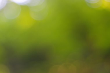 soyut dairesel yeşil bokeh arkaplanı.