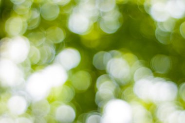 soyut dairesel yeşil bokeh arkaplanı.