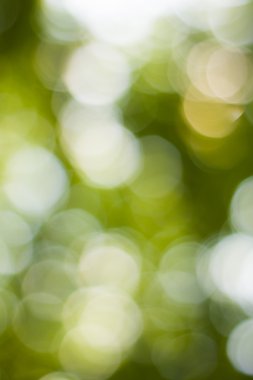 soyut dairesel yeşil bokeh arkaplanı.