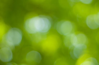 soyut dairesel yeşil bokeh arkaplanı.