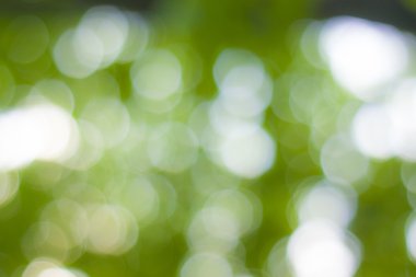 soyut dairesel yeşil bokeh arkaplanı.