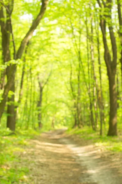 Abstract circular green bokeh background. — Stock Photo, Image