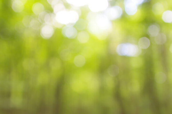 Abstract circular green bokeh background.