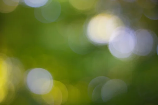 Abstracte ronde groene bokeh achtergrond. — Stockfoto