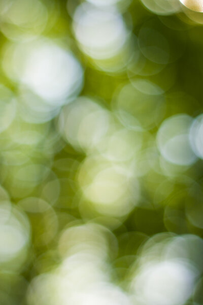 абстрактный круговой зеленый фон боке.